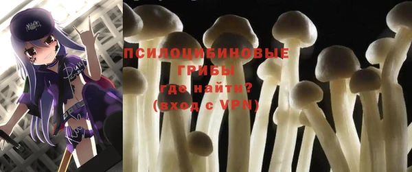 сатива Майский