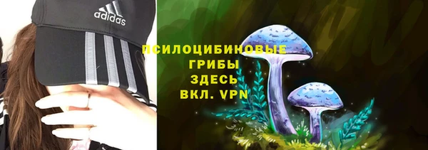 альфа пвп Магас