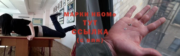 гидра Липки