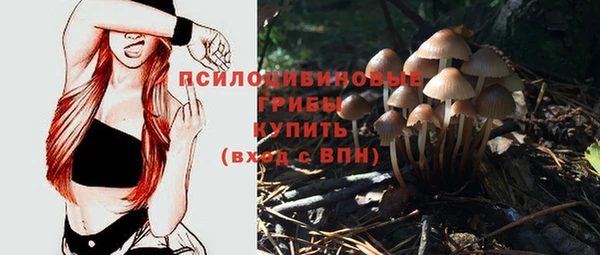 гидра Липки