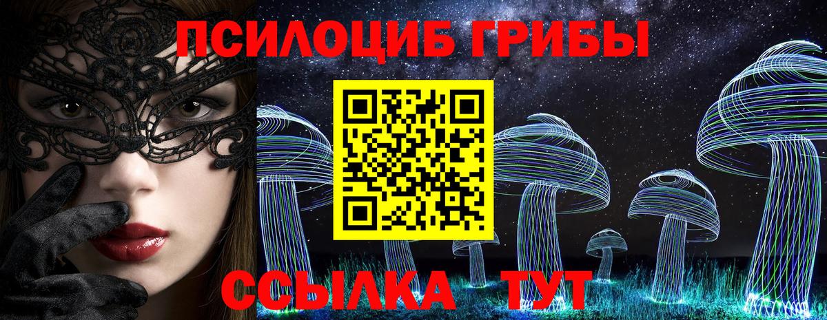 Псилоцибиновые грибы GOLDEN TEACHER  Псилоцибиновые грибы Magic Shrooms  Миллерово  хочу   Вход с VPN 