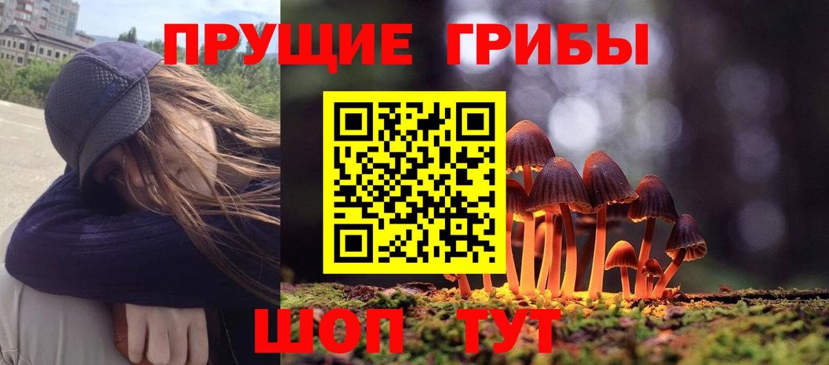 Галлюциногенные грибы Psilocybine cubensis Миллерово